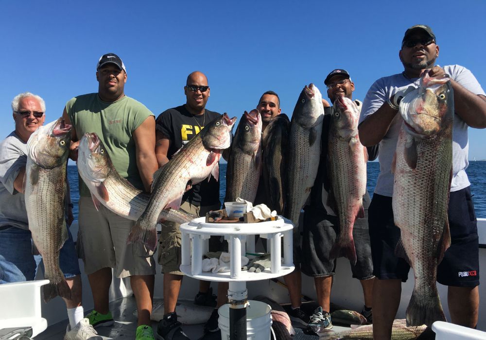 Frequently Asked Questions 7 best charter boats in new england-061