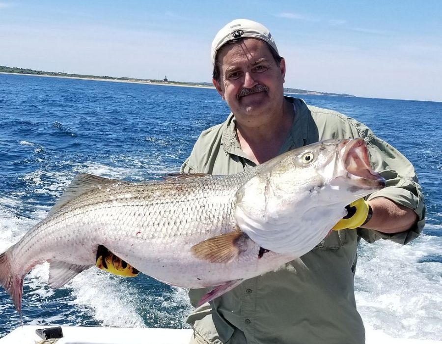 Fishing for Striped Bass, Blues, Cod, Flounder, Black Fish 2 charter boats in narragansett ri-086